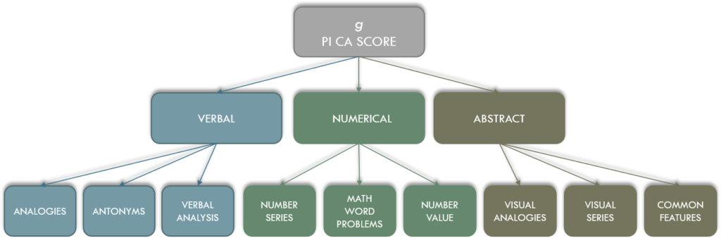 pi-cognitive-assessment-humanostics