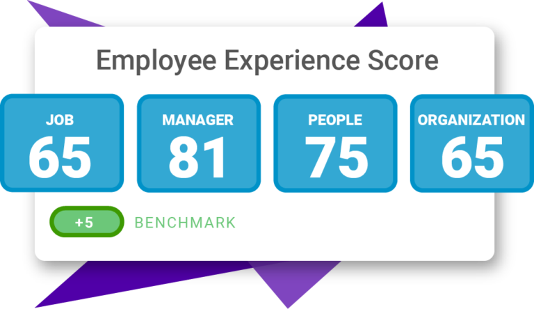 PI Employee Experience graphic